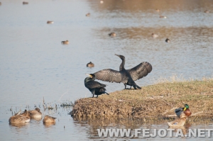 Nombre del archivo=111128_031.jpg
Tamaño del archivo=115Kb
Dimensiones=500x333
Fecha añadida=03 de Marzo de 12 111128_031.jpg