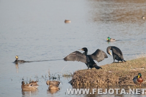 Nombre del archivo=111128_034.jpg
Tamaño del archivo=106Kb
Dimensiones=500x333
Fecha añadida=03 de Marzo de 12 111128_034.jpg