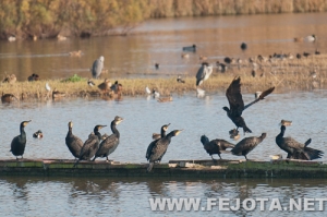 Nombre del archivo=111128_036.jpg
Tamaño del archivo=128Kb
Dimensiones=500x333
Fecha añadida=03 de Marzo de 12 111128_036.jpg