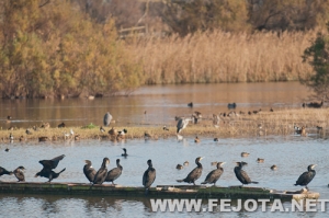 Nombre del archivo=111128_038.jpg
Tamaño del archivo=129Kb
Dimensiones=500x333
Fecha añadida=03 de Marzo de 12 111128_038.jpg