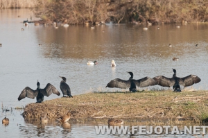 Nombre del archivo=111128_039.jpg
Tamaño del archivo=136Kb
Dimensiones=500x333
Fecha añadida=03 de Marzo de 12 111128_039.jpg