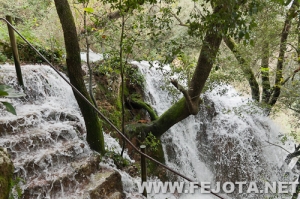 Nombre del archivo=111128_045.jpg
Tamaño del archivo=368Kb
Dimensiones=500x332
Fecha añadida=02 de Marzo de 12 111128_045.jpg