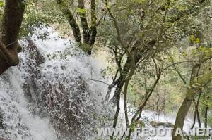 Nombre del archivo=111128_048.jpg
Tamaño del archivo=264Kb
Dimensiones=500x332
Fecha añadida=02 de Marzo de 12 111128_048.jpg