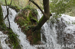 Nombre del archivo=111128_060.jpg
Tamaño del archivo=231Kb
Dimensiones=500x332
Fecha añadida=02 de Marzo de 12 111128_060.jpg