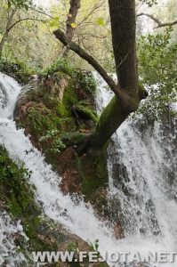 Nombre del archivo=111128_064.jpg
Tamaño del archivo=238Kb
Dimensiones=332x500
Fecha añadida=02 de Marzo de 12 111128_064.jpg