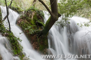 Nombre del archivo=111128_076.jpg
Tamaño del archivo=283Kb
Dimensiones=500x332
Fecha añadida=02 de Marzo de 12 111128_076.jpg