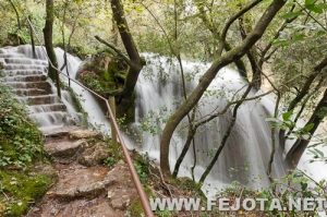 Nombre del archivo=111128_079.jpg
Tamaño del archivo=281Kb
Dimensiones=500x332
Fecha añadida=02 de Marzo de 12 111128_079.jpg