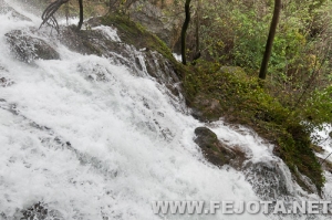 Nombre del archivo=111128_109.jpg
Tamaño del archivo=302Kb
Dimensiones=500x332
Fecha añadida=02 de Marzo de 12 111128_109.jpg