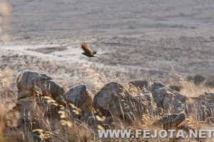 Nombre del archivo=111218_002.jpg
Tamaño del archivo=136Kb
Dimensiones=500x333
Fecha añadida=29 de Febrero de 12 111218_002.jpg