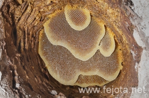 Nombre del archivo=120220_054.jpg
Tamaño del archivo=303Kb
Dimensiones=500x332
Fecha añadida=19 de Junio de 12 120220_054.jpg