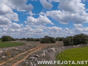 Nombre del archivo=120502_006.jpg
Tamaño del archivo=209Kb
Dimensiones=500x375
Fecha añadida=26 de Mayo de 12 120502_006.jpg