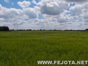 Nombre del archivo=120502_007.jpg
Tamaño del archivo=209Kb
Dimensiones=500x375
Fecha añadida=26 de Mayo de 12 120502_007.jpg