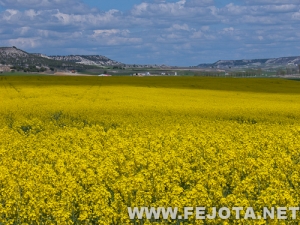 Nombre del archivo=120502_008.jpg
Tamaño del archivo=219Kb
Dimensiones=500x375
Fecha añadida=26 de Mayo de 12 120502_008.jpg