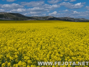 Nombre del archivo=120502_012.jpg
Tamaño del archivo=188Kb
Dimensiones=500x375
Fecha añadida=26 de Mayo de 12 120502_012.jpg