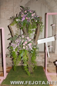 Nombre del archivo=120511_007.jpg
Tamaño del archivo=118Kb
Dimensiones=332x500
Fecha añadida=17 de Mayo de 12 120511_007.jpg