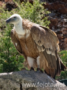 Nombre del archivo=120614_026.jpg
Tamaño del archivo=162Kb
Dimensiones=375x500
Fecha añadida=19 de Julio de 12 120614_026.jpg