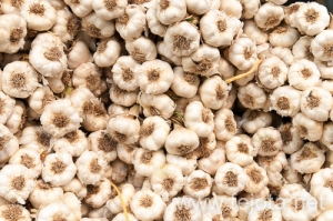 Nombre del archivo=120630_003.jpg
Tamaño del archivo=182Kb
Dimensiones=500x332
Fecha añadida=08 de Diciembre de 12 120630_003.jpg