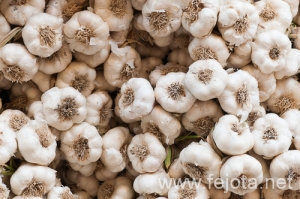 Nombre del archivo=120630_011.jpg
Tamaño del archivo=155Kb
Dimensiones=500x332
Fecha añadida=08 de Diciembre de 12 120630_011.jpg