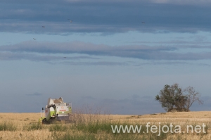 Nombre del archivo=120630_028.jpg
Tamaño del archivo=73Kb
Dimensiones=500x333
Fecha añadida=24 de Julio de 12 120630_028.jpg