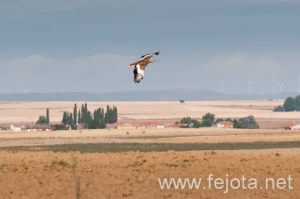 Nombre del archivo=120630_043.jpg
Tamaño del archivo=79Kb
Dimensiones=500x333
Fecha añadida=24 de Julio de 12 120630_043.jpg