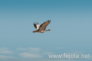 Nombre del archivo=120630_051.jpg
Tamaño del archivo=51Kb
Dimensiones=500x333
Fecha añadida=24 de Julio de 12 120630_051.jpg