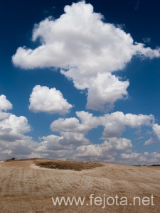 Nombre del archivo=120920_004.jpg
Tamaño del archivo=106Kb
Dimensiones=375x500
Fecha añadida=05 de Diciembre de 12 120920_004.jpg