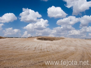 Nombre del archivo=120920_006.jpg
Tamaño del archivo=128Kb
Dimensiones=500x375
Fecha añadida=05 de Diciembre de 12 120920_006.jpg