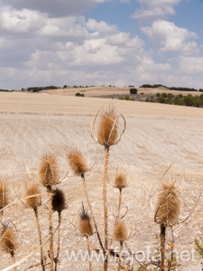 Nombre del archivo=120920_022.jpg
Tamaño del archivo=137Kb
Dimensiones=375x500
Fecha añadida=05 de Diciembre de 12 120920_022.jpg