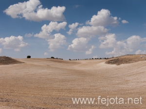 Nombre del archivo=120920_024.jpg
Tamaño del archivo=214Kb
Dimensiones=500x375
Fecha añadida=05 de Diciembre de 12 120920_024.jpg