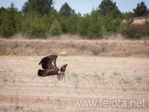 Nombre del archivo=120927_007.jpg
Tamaño del archivo=125Kb
Dimensiones=500x375
Fecha añadida=04 de Diciembre de 12 120927_007.jpg
