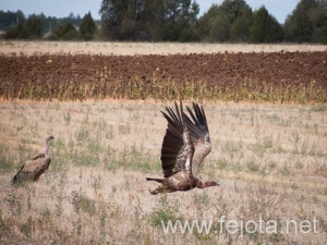 Nombre del archivo=120927_011.jpg
Tamaño del archivo=154Kb
Dimensiones=500x375
Fecha añadida=04 de Diciembre de 12 120927_011.jpg