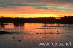 Nombre del archivo=121103_019.jpg
Tamaño del archivo=123Kb
Dimensiones=500x332
Fecha añadida=07 de Noviembre de 12 121103_019.jpg