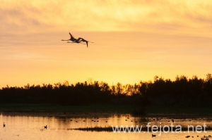 Nombre del archivo=121103_054.jpg
Tamaño del archivo=83Kb
Dimensiones=500x332
Fecha añadida=07 de Noviembre de 12 121103_054.jpg