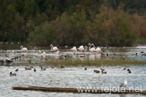 Nombre del archivo=121103_104.jpg
Tamaño del archivo=118Kb
Dimensiones=500x332
Fecha añadida=07 de Noviembre de 12 121103_104.jpg