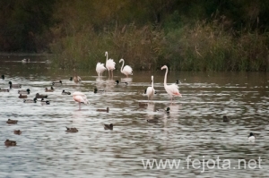 Nombre del archivo=121103_110.jpg
Tamaño del archivo=124Kb
Dimensiones=500x332
Fecha añadida=07 de Noviembre de 12 121103_110.jpg