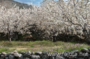 Nombre del archivo=130415_025.jpg
Tamaño del archivo=335Kb
Dimensiones=500x332
Fecha añadida=22 de Junio de 13 130415_025.jpg