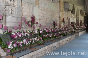 Nombre del archivo=130513_060.jpg
Tamaño del archivo=244Kb
Dimensiones=500x332
Fecha añadida=26 de Junio de 13 130513_060.jpg