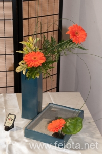 Nombre del archivo=130515_012.jpg
Tamaño del archivo=191Kb
Dimensiones=332x500
Fecha añadida=26 de Junio de 13 130515_012.jpg