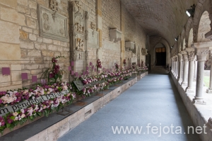 Nombre del archivo=130515_055.jpg
Tamaño del archivo=215Kb
Dimensiones=500x332
Fecha añadida=26 de Junio de 13 130515_055.jpg