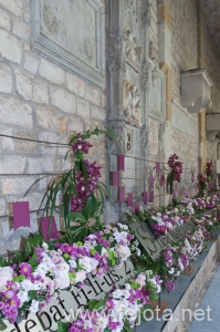 Nombre del archivo=130515_062.jpg
Tamaño del archivo=259Kb
Dimensiones=332x500
Fecha añadida=26 de Junio de 13 130515_062.jpg