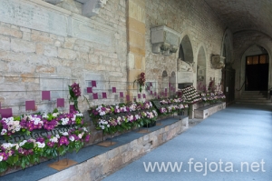 Nombre del archivo=130515_064.jpg
Tamaño del archivo=226Kb
Dimensiones=500x332
Fecha añadida=26 de Junio de 13 130515_064.jpg