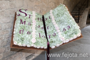 Nombre del archivo=130515_077.jpg
Tamaño del archivo=253Kb
Dimensiones=500x332
Fecha añadida=26 de Junio de 13 130515_077.jpg