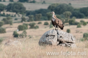 Nombre del archivo=130706_007.jpg
Tamaño del archivo=191Kb
Dimensiones=500x332
Fecha añadida=02 de Agosto de 13 130706_007.jpg