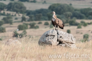 Nombre del archivo=130706_009.jpg
Tamaño del archivo=193Kb
Dimensiones=500x333
Fecha añadida=02 de Agosto de 13 130706_009.jpg