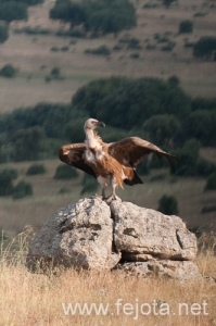 Nombre del archivo=130706_025.jpg
Tamaño del archivo=197Kb
Dimensiones=332x500
Fecha añadida=02 de Agosto de 13 130706_025.jpg