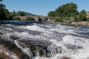 Nombre del archivo=130708_001.jpg
Tamaño del archivo=252Kb
Dimensiones=500x332
Fecha añadida=28 de Agosto de 13 130708_001.jpg