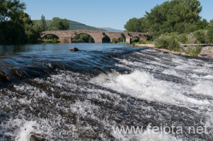 Nombre del archivo=130708_005.jpg
Tamaño del archivo=275Kb
Dimensiones=500x332
Fecha añadida=28 de Agosto de 13 130708_005.jpg