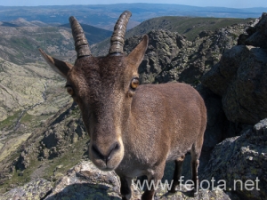 Nombre del archivo=130711_029.jpg
Tamaño del archivo=281Kb
Dimensiones=500x375
Fecha añadida=23 de Agosto de 13 130711_029.jpg