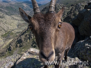 Nombre del archivo=130711_030.jpg
Tamaño del archivo=300Kb
Dimensiones=500x375
Fecha añadida=23 de Agosto de 13 130711_030.jpg