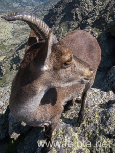 Nombre del archivo=130711_032.jpg
Tamaño del archivo=310Kb
Dimensiones=375x500
Fecha añadida=23 de Agosto de 13 130711_032.jpg